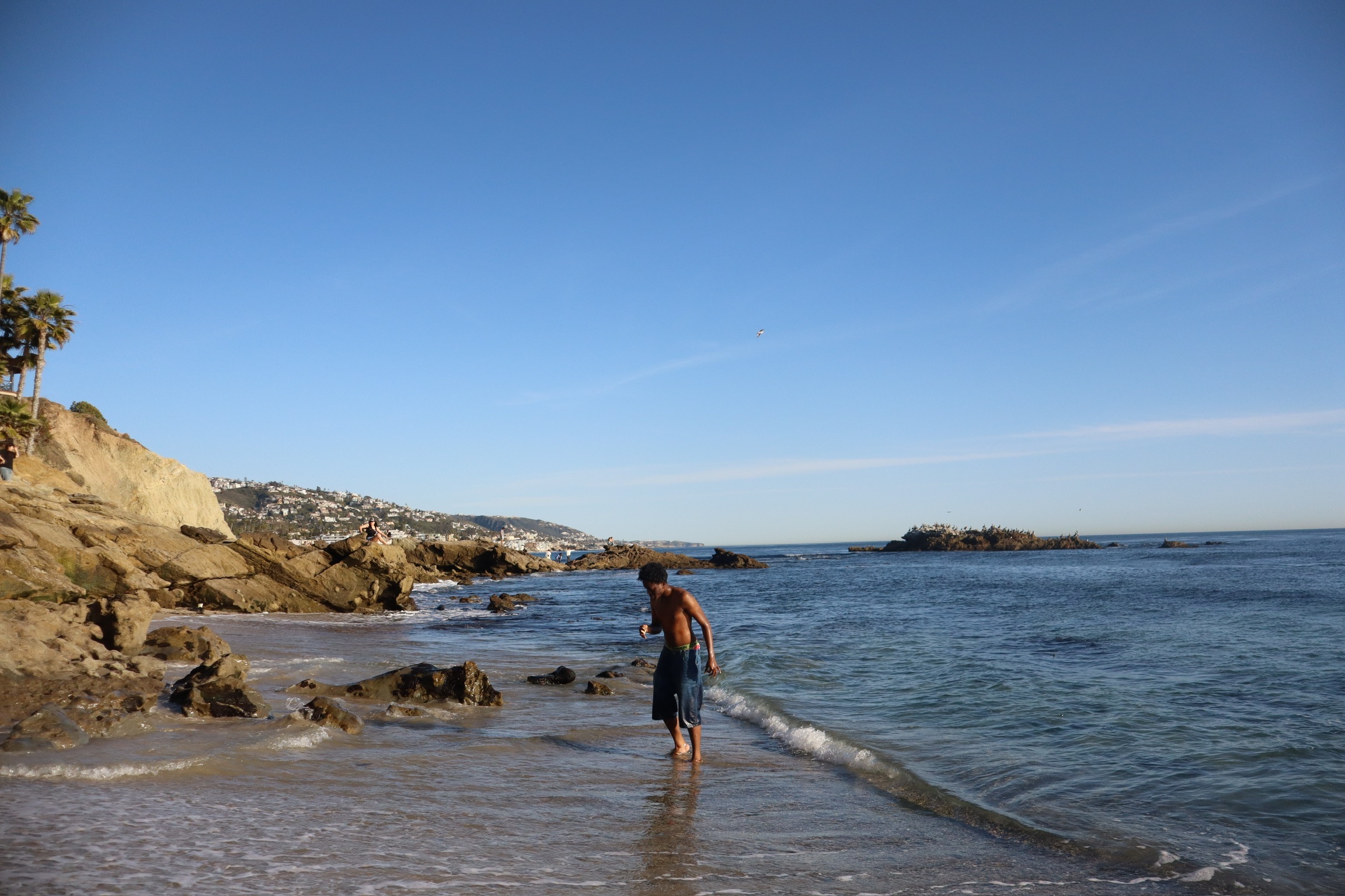 CALIFORNIA SPRING 25 photo
